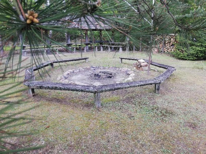 Agroturystyka "Lesne Zacisze Na Podlasiu" Tuczna Екстер'єр фото