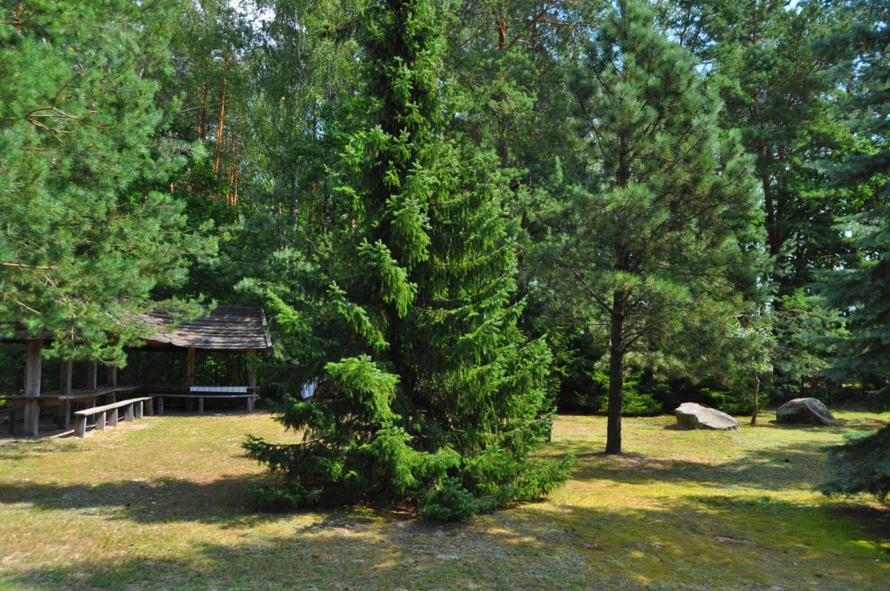 Agroturystyka "Lesne Zacisze Na Podlasiu" Tuczna Екстер'єр фото